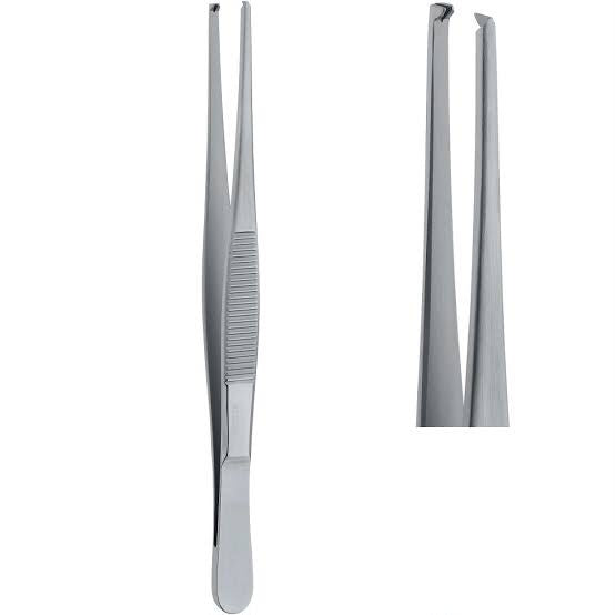 Standard Pattern Dissecting Forceps