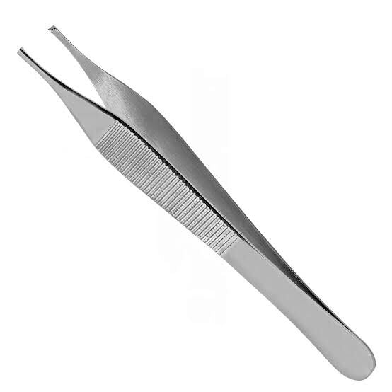 Adson Dissecting Forceps